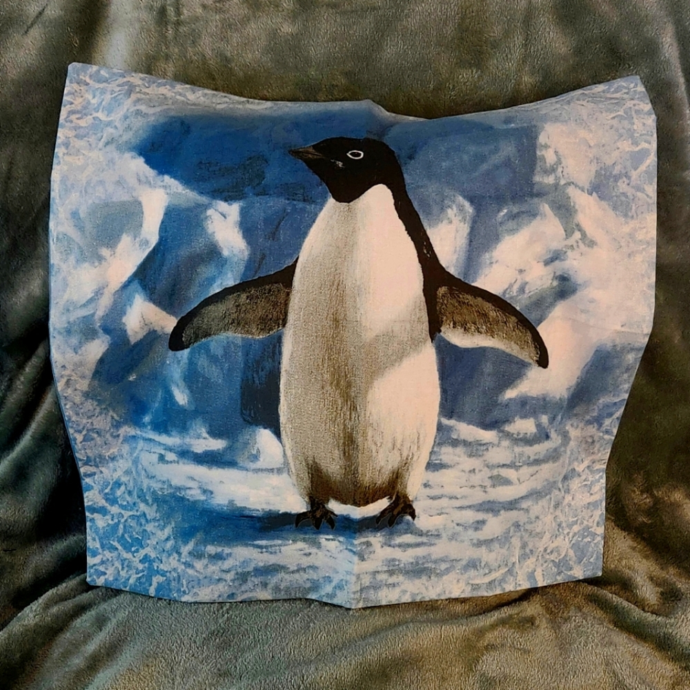 Throw Pillow